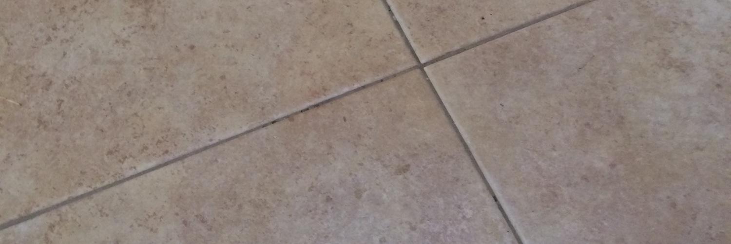 Vivien Altman banner