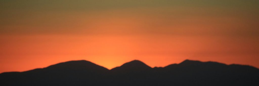 fernlego's profile banner image