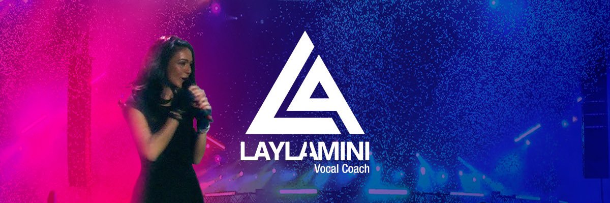 Laylaamini's profile banner image