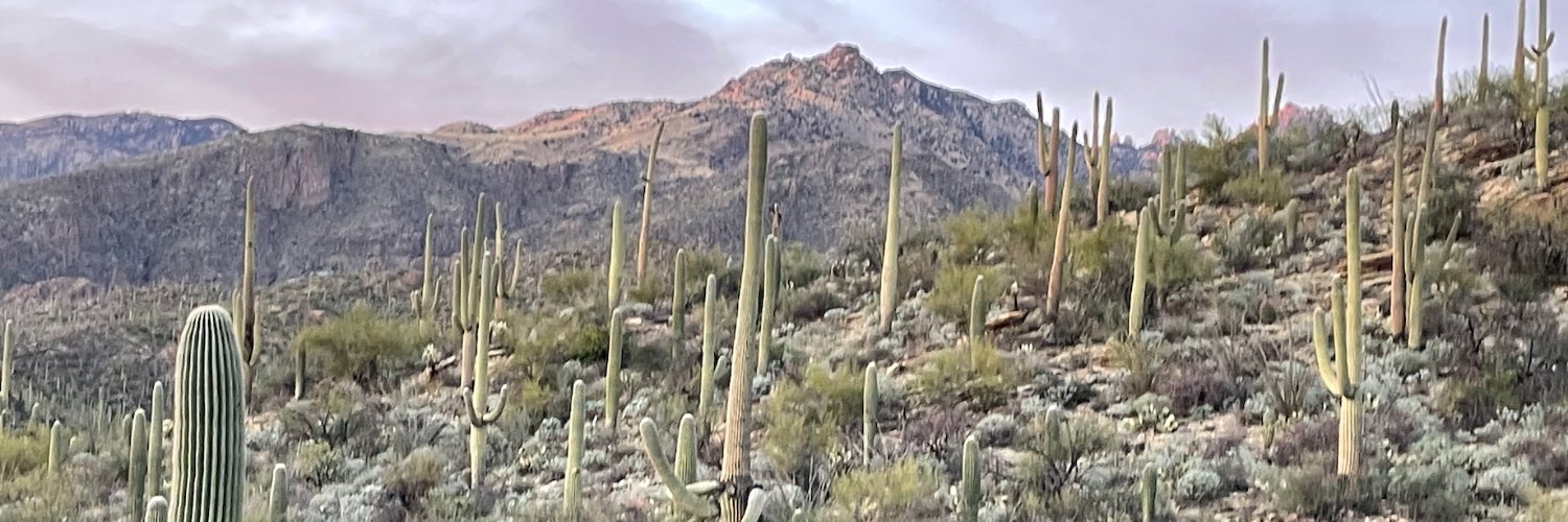 Kirsten Engel banner