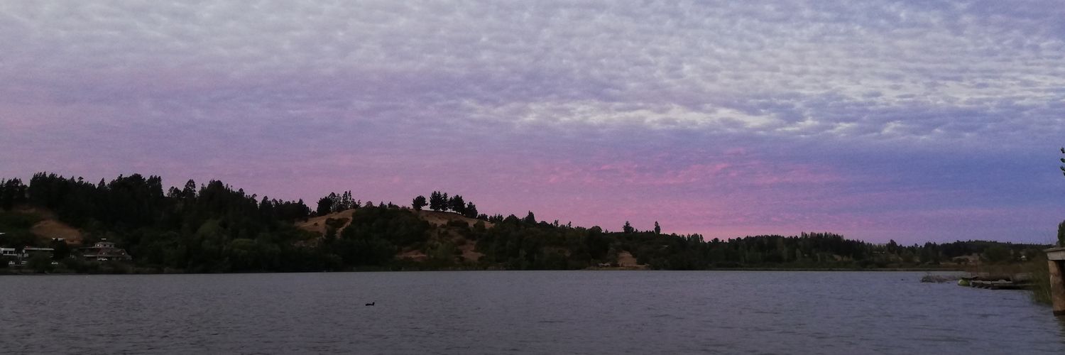_naatysb's profile banner image