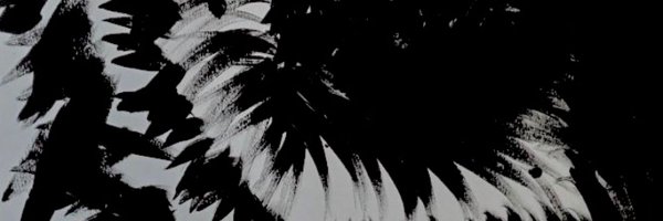 queseracomplex Profile Banner