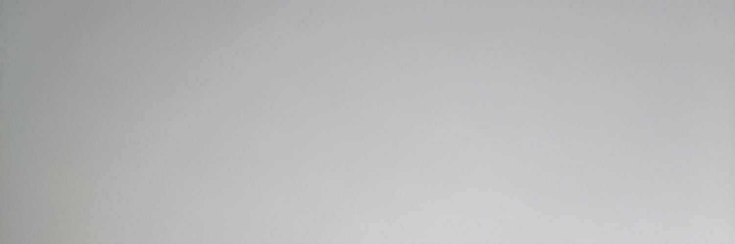 Ricardo Rojas B. banner