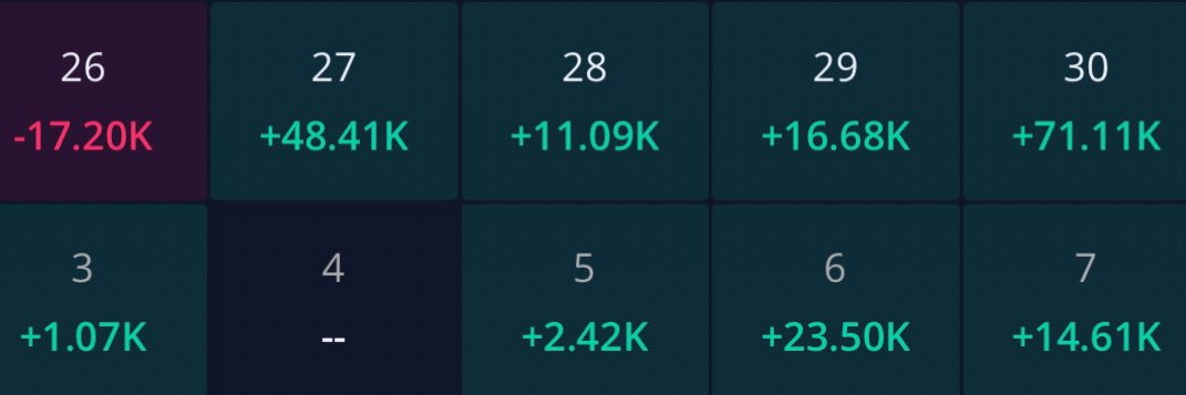 0dteKyle🇺🇸 banner