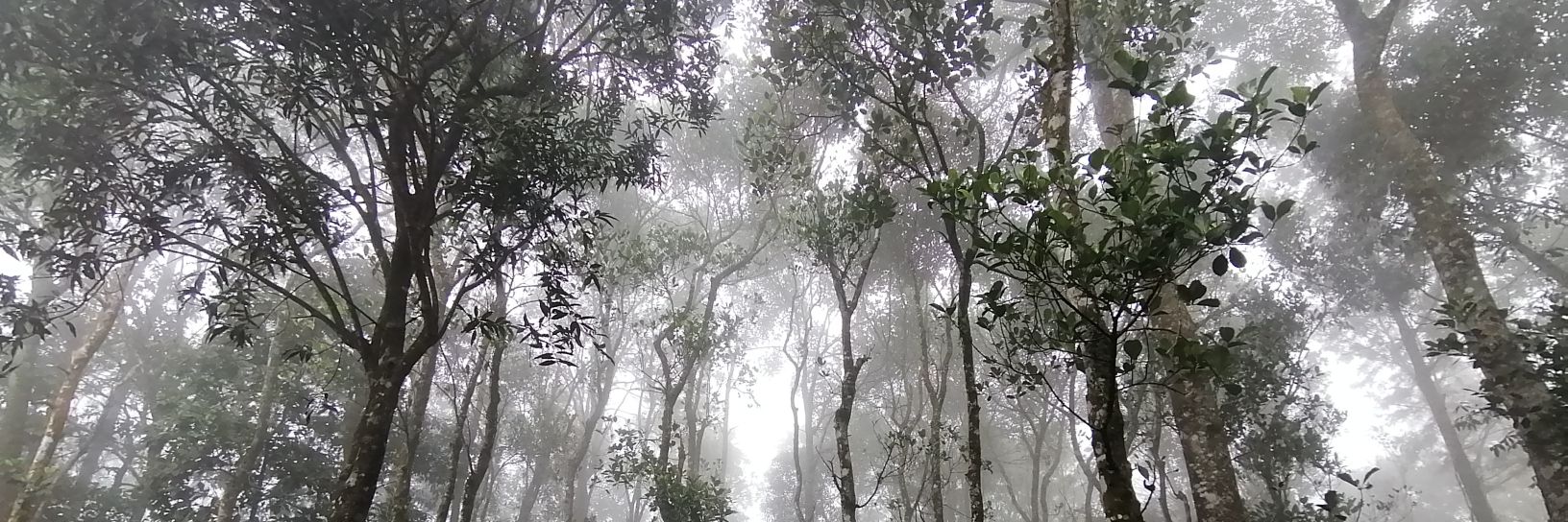 Shailendra Yashwant banner