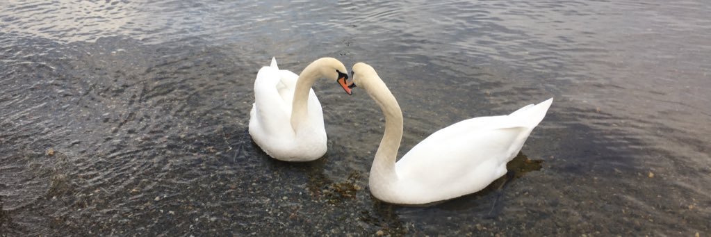 Simply Smriti banner