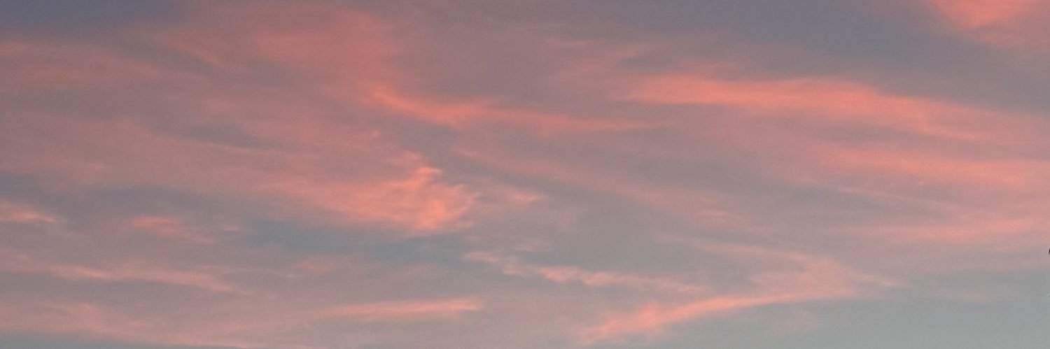emilly banner