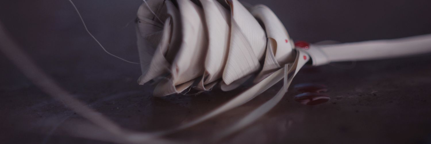 ContradictMovie's profile banner image