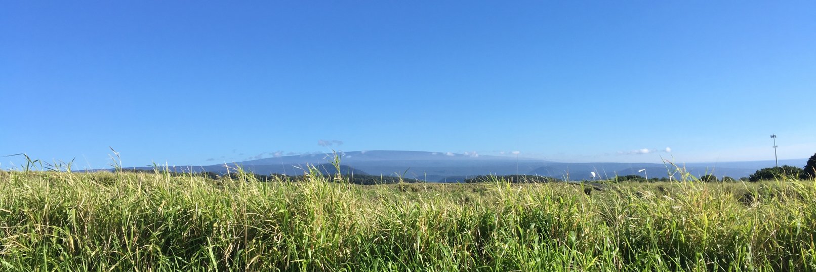 AdamLoew's profile banner image