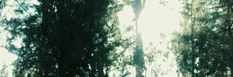 Zena_qween's profile banner image