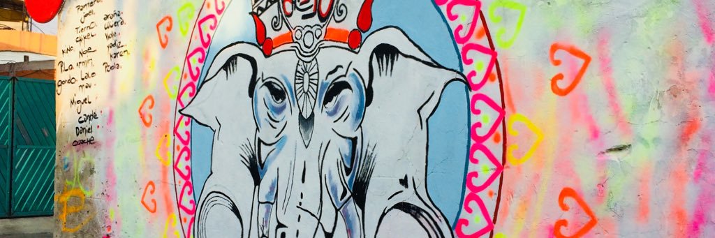 bikneluna banner