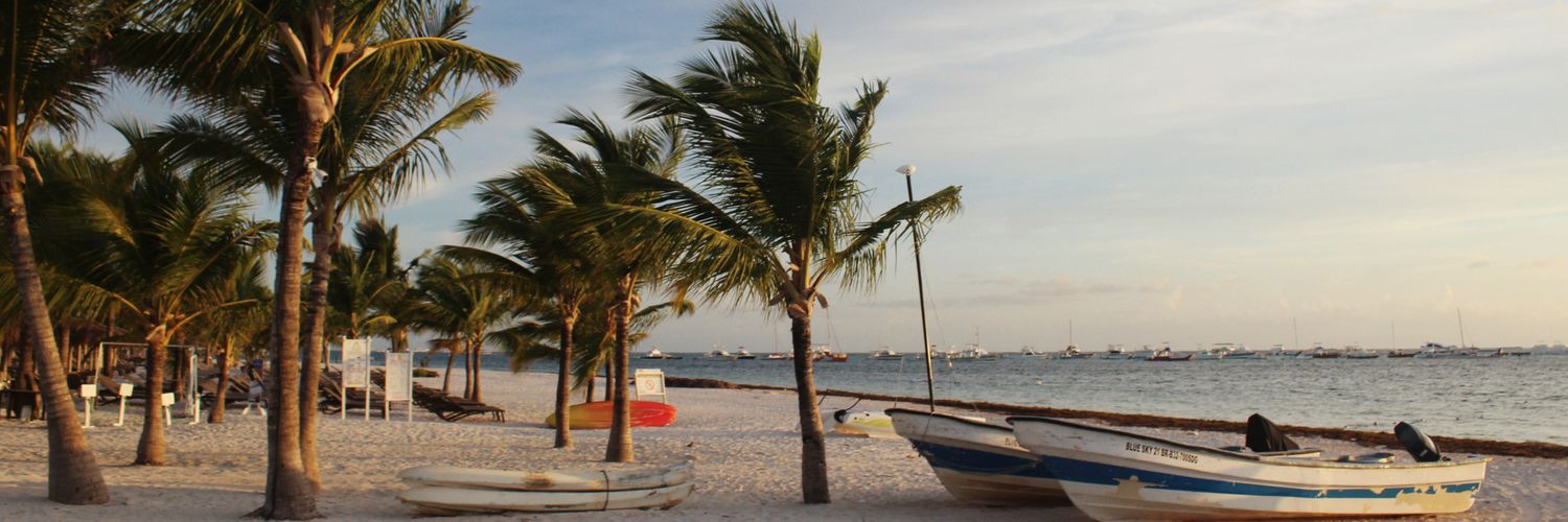 pourrepalo's profile banner image