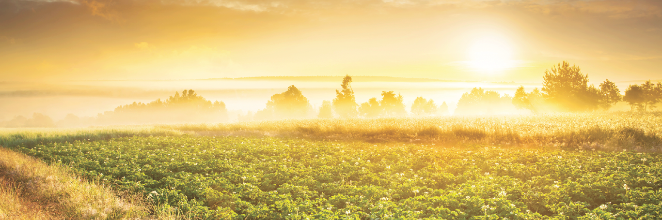 Brian Mitchell banner