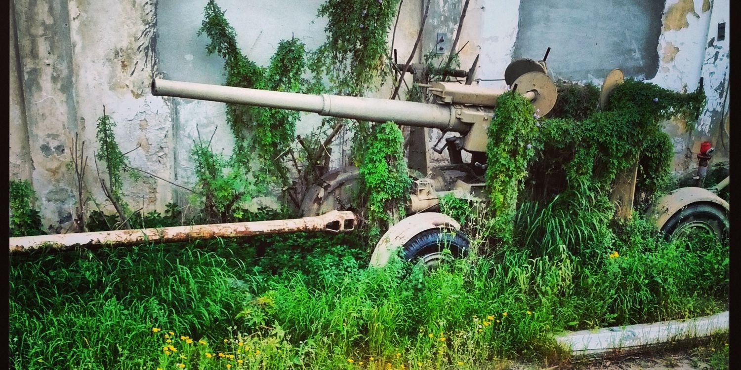 Or Benda 🦥 SSDD banner