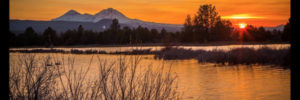 totaleffects Profile Banner