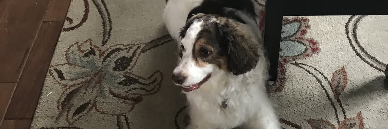 DebraBohn2's profile banner image