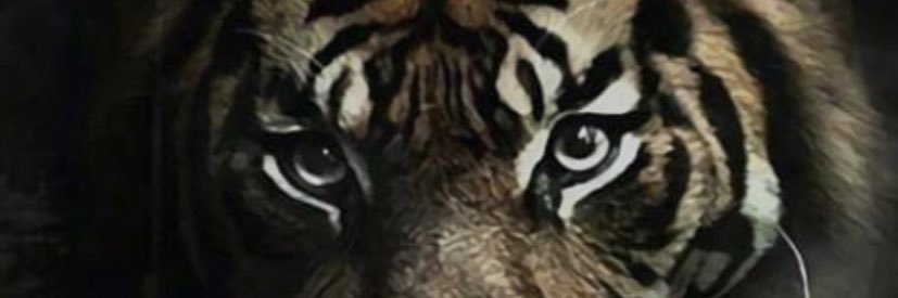 mwauzab's profile banner image