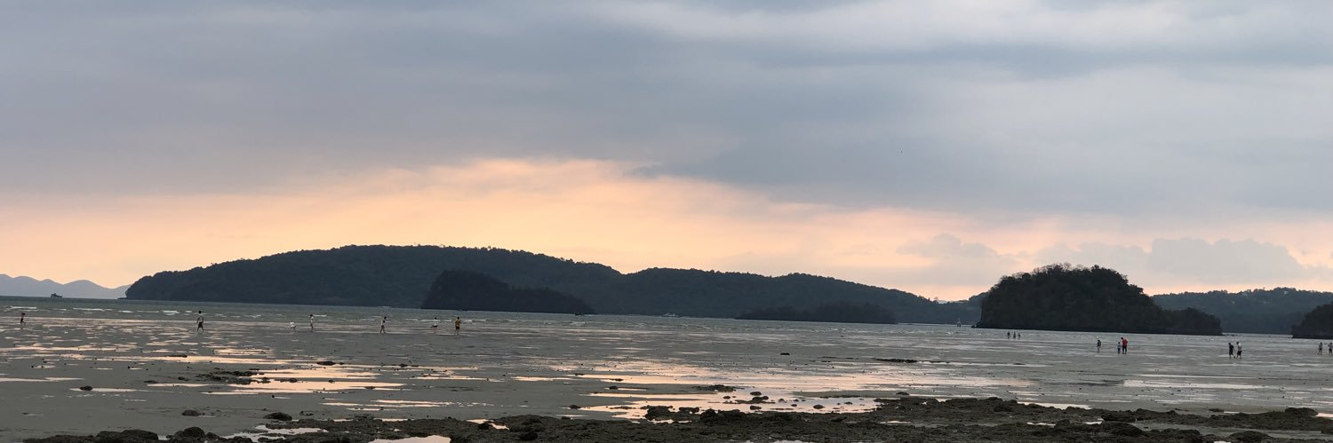 msfinity's profile banner image