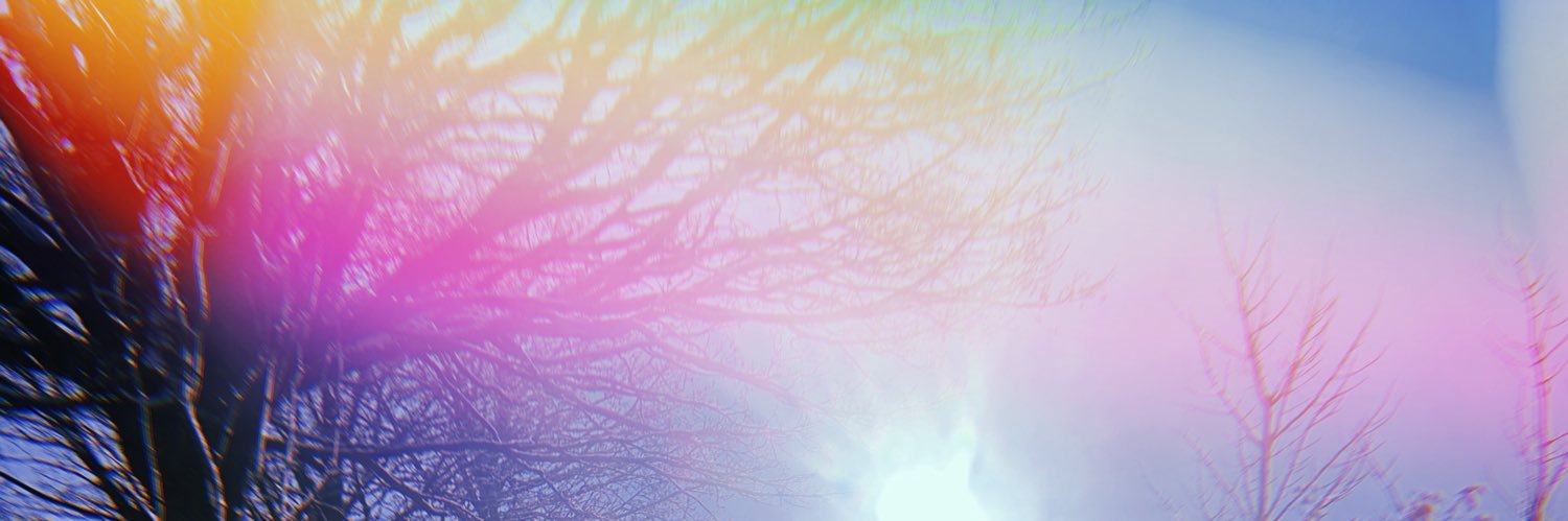 jfl22's profile banner image
