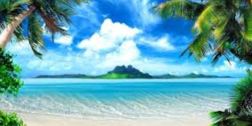 cortjohnston8's profile banner image