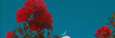 SallySeltmann's profile banner image