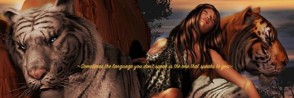 JaePanthe's profile banner image