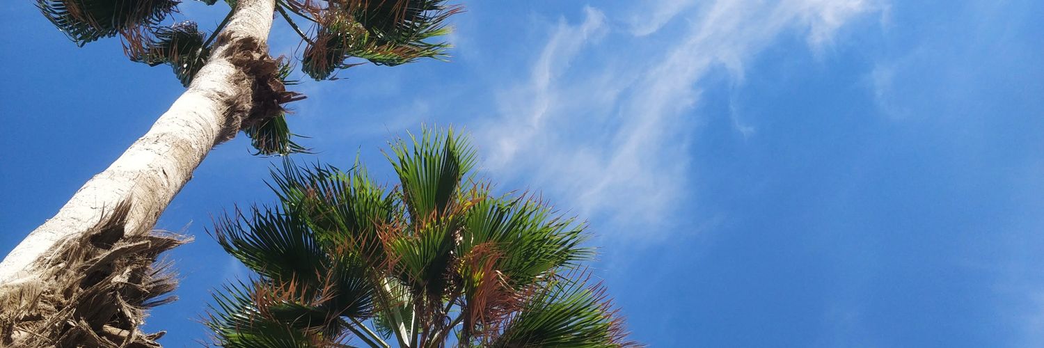 C_Tweetsx's profile banner image
