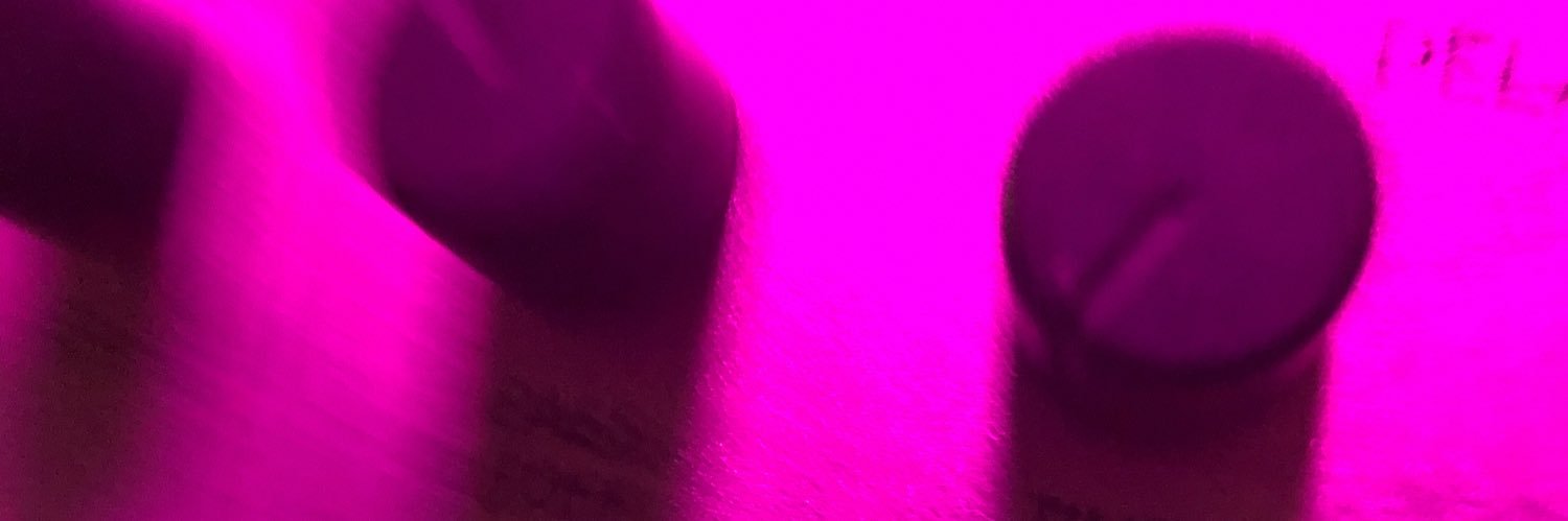 LEX banner