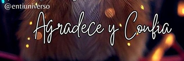 LdeB🌺🇵🇦 banner