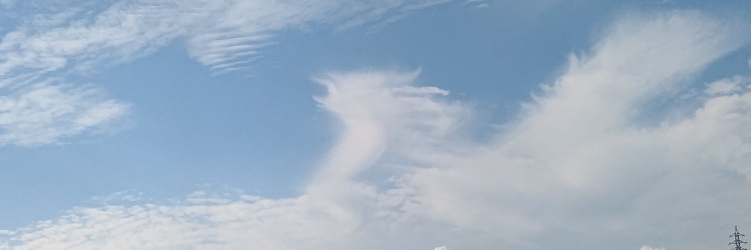 cosmos_neco's profile banner image
