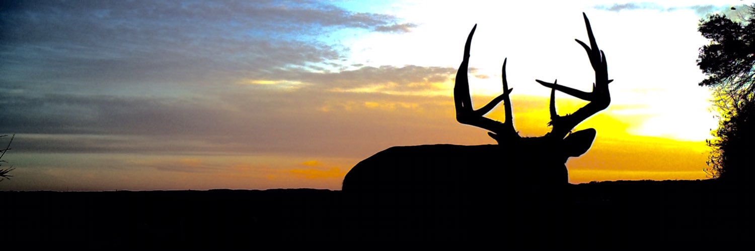 timwoy's profile banner image