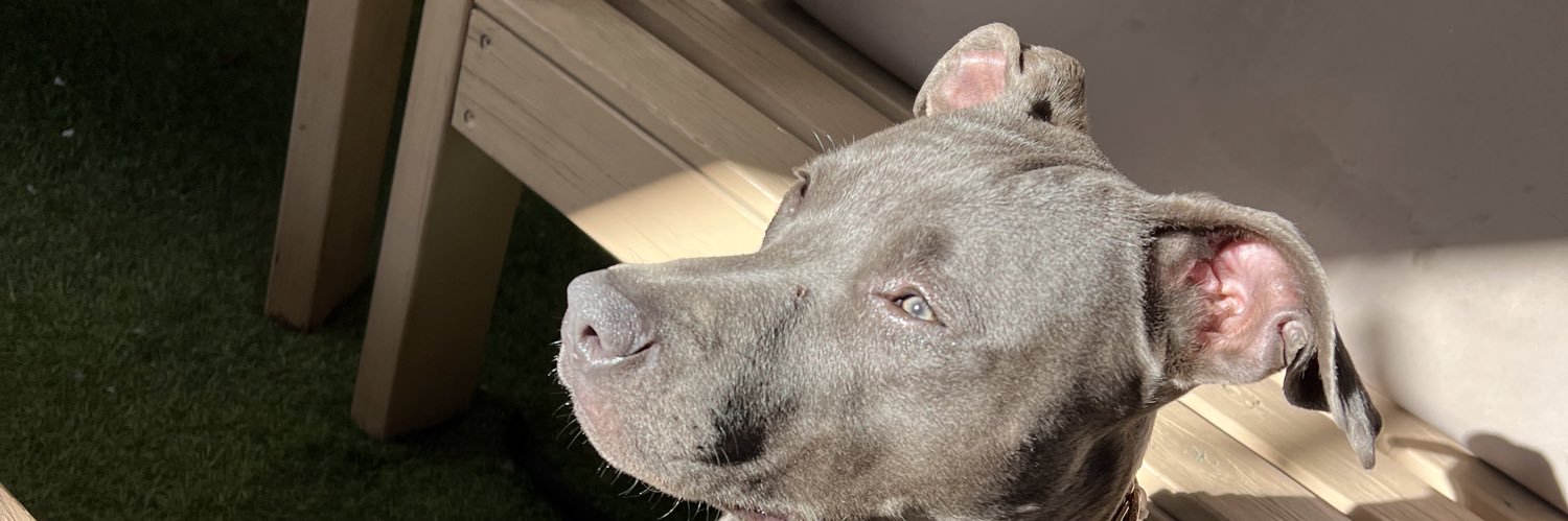 TheBeast3r's profile banner image