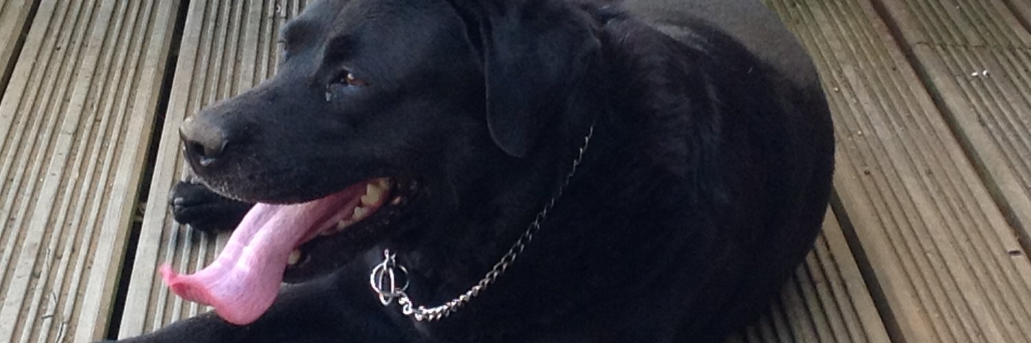 MauserGsy's profile banner image