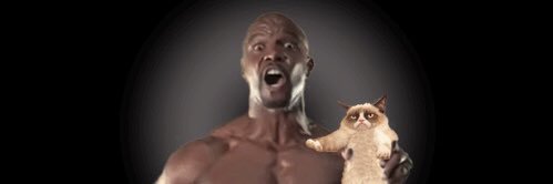 BembolSkull's profile banner image