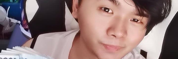petiks19's profile banner image