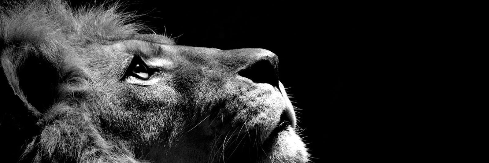 karahan_samet's profile banner image
