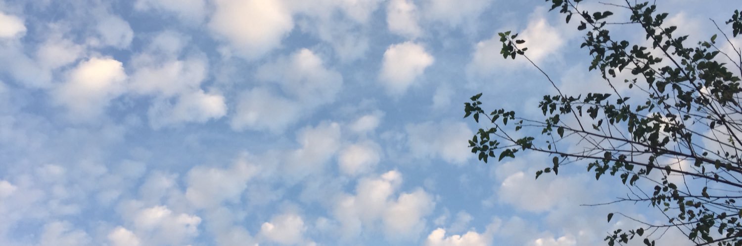 katcuca's profile banner image