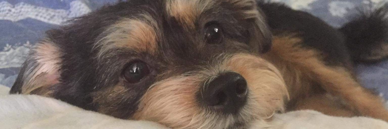 ImFirsyy's profile banner image