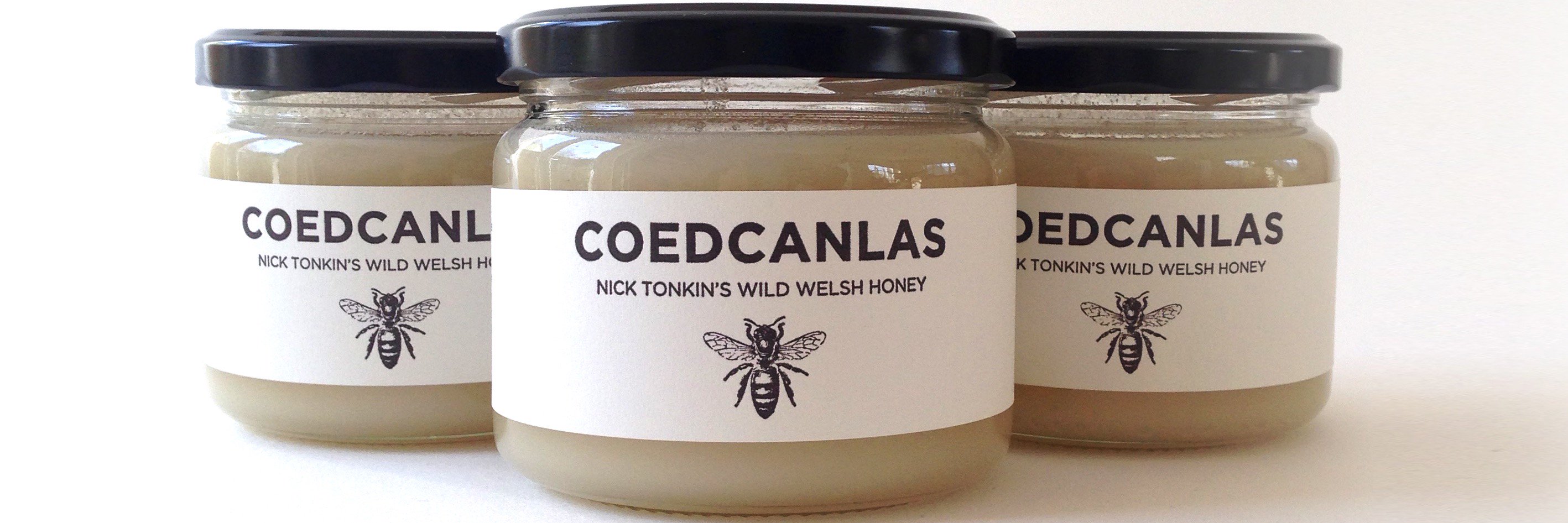coedcanlasstore's profile banner image