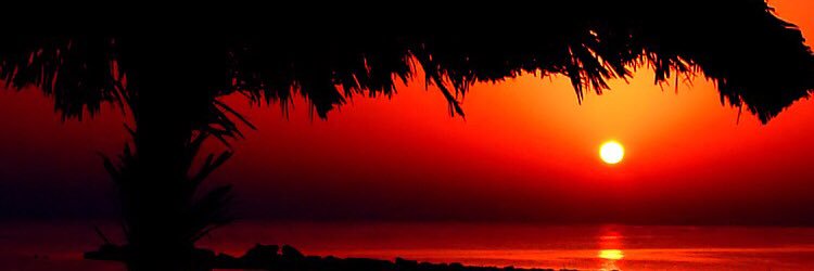 shinewithD's profile banner image