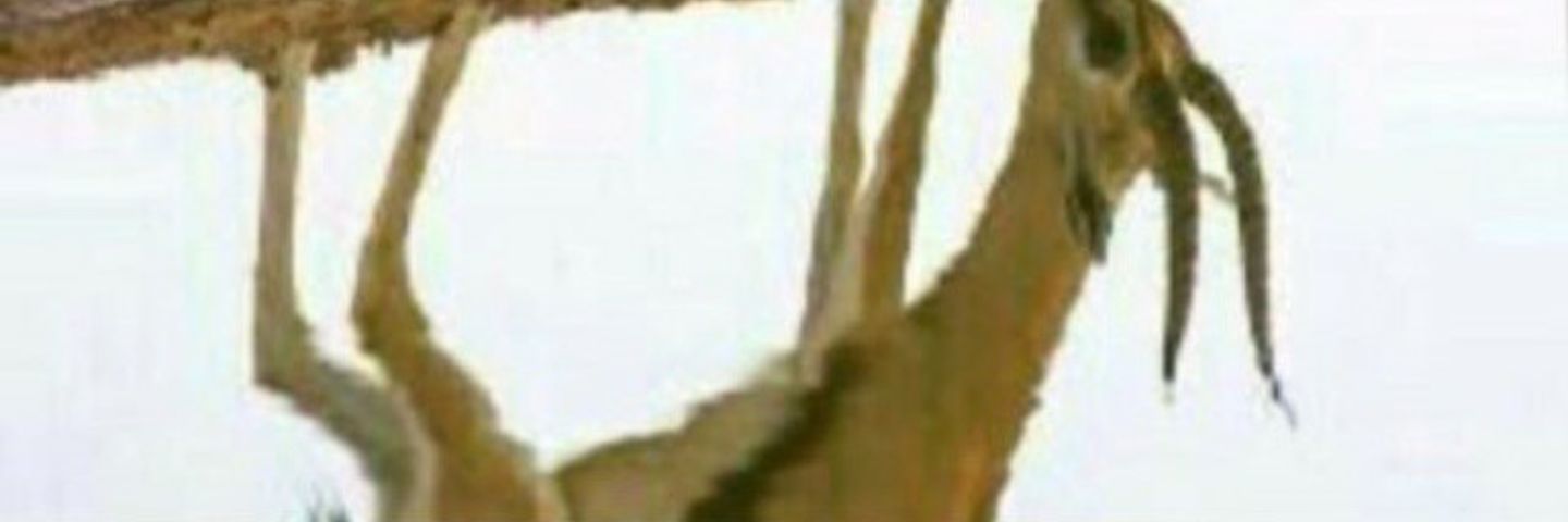 wwkk190's profile banner image