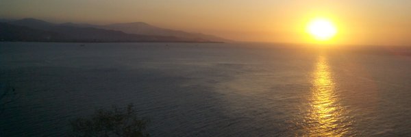 viola294 Profile Banner