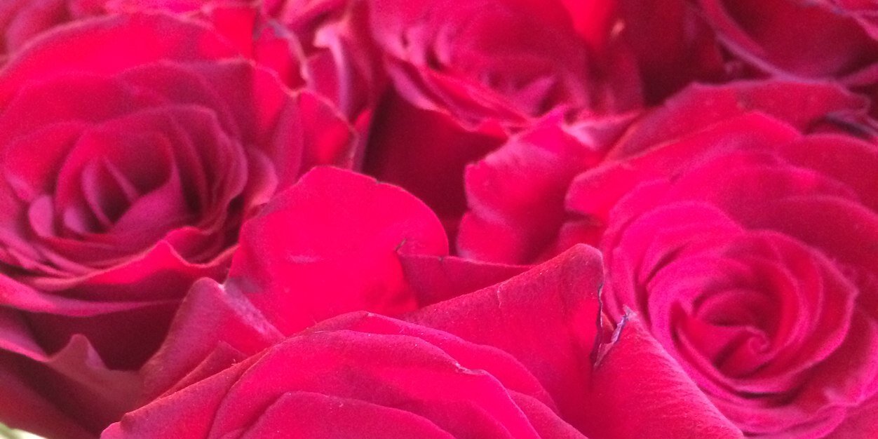 CarolineJane91's profile banner image