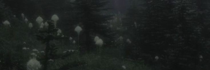 What comes after seven? ATE! That's Sooin. banner