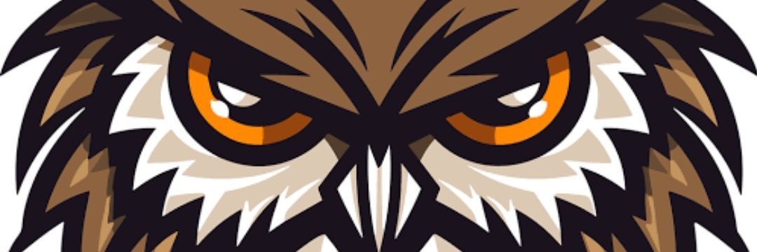 elfath01's profile banner image