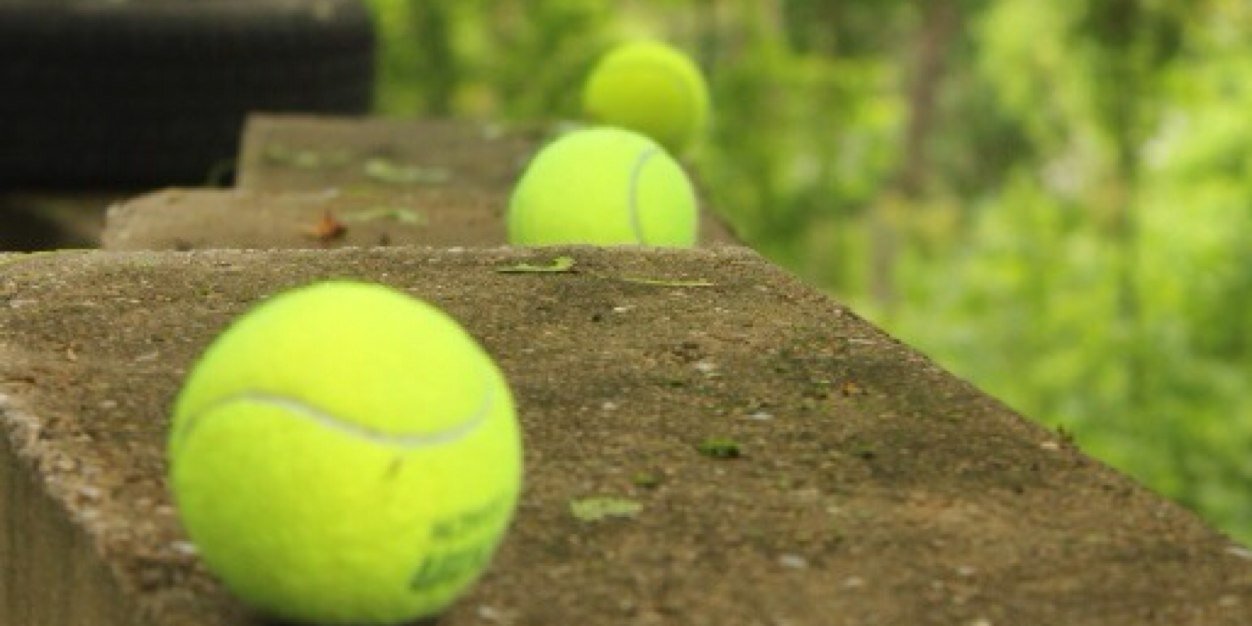 Claire Bridgland banner