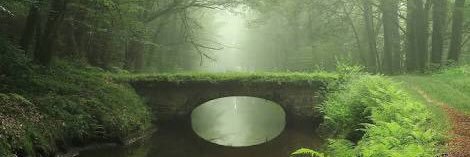 IndiceAmbiental's profile banner image