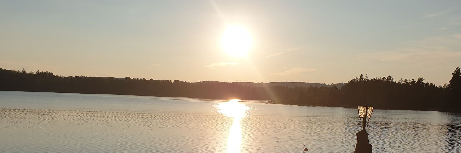 JenniAsserholt's profile banner image