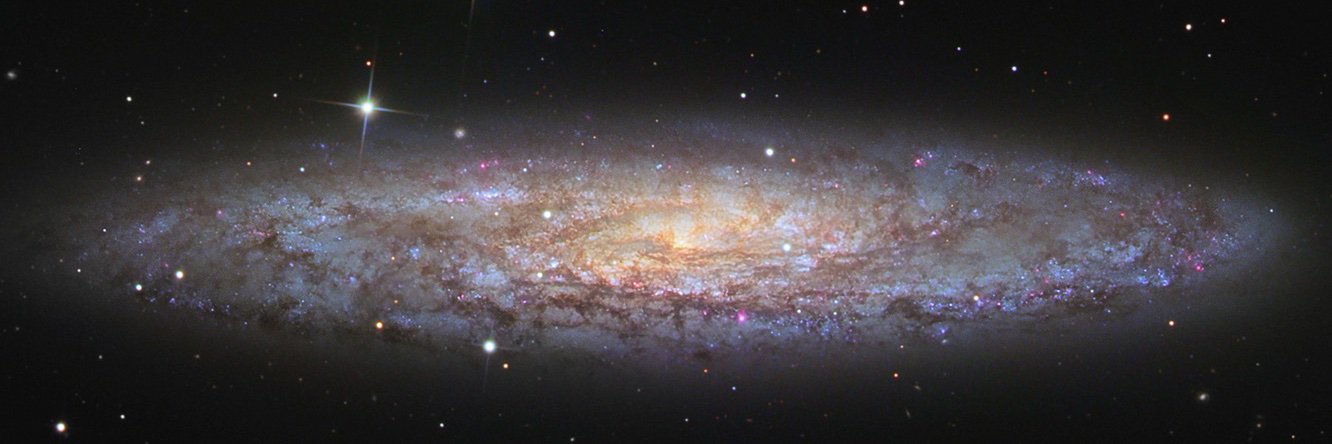 ngc253's profile banner image
