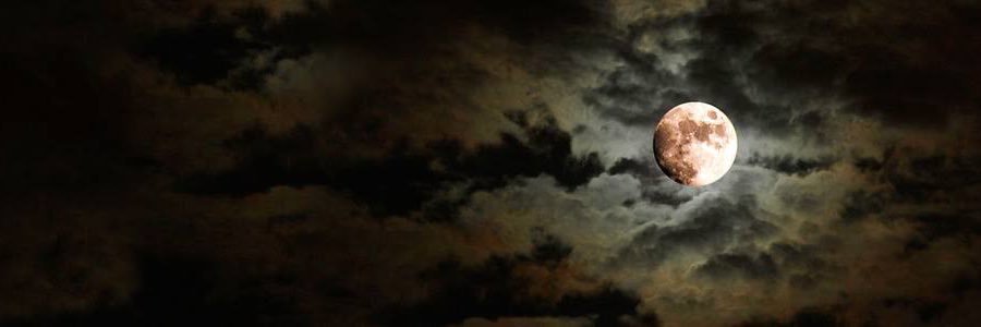 mcrlno's profile banner image